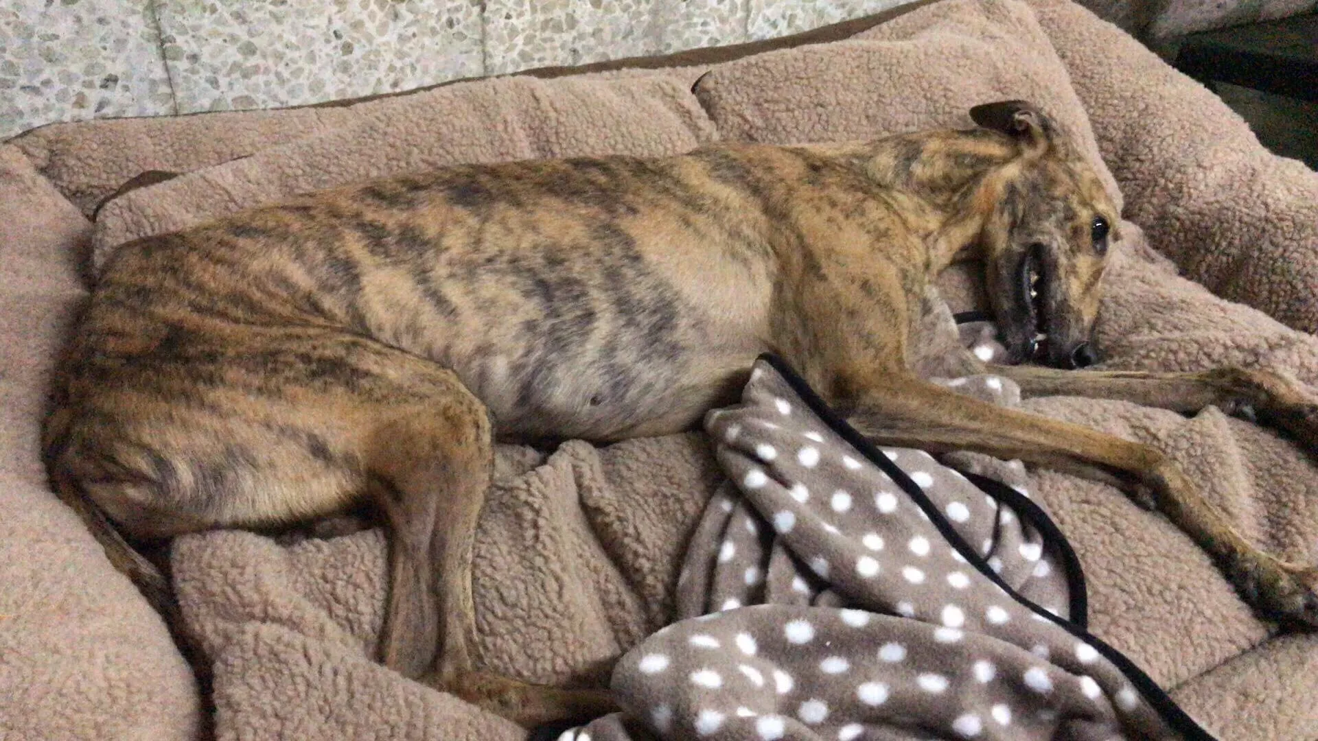 43237906 1740527606081928 7449085029281431552 o