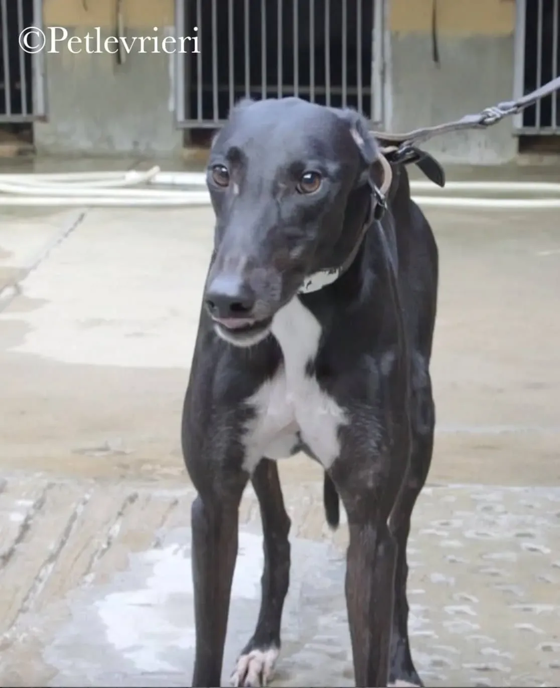 43239375 477992952695760 2661568555903877120 n