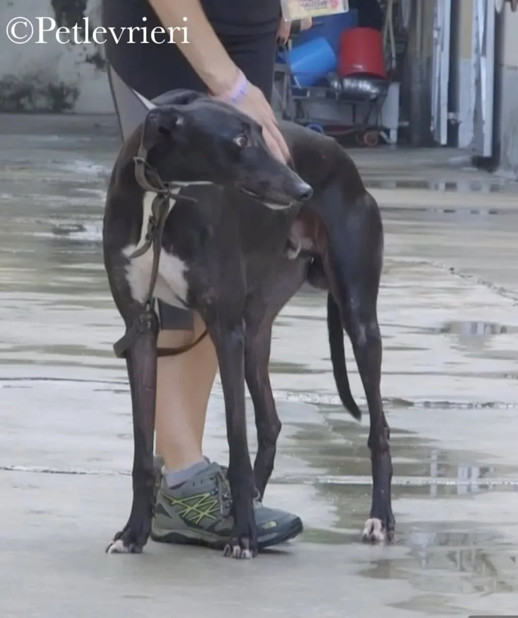 43250662 856657911389963 2499834926648524800 n