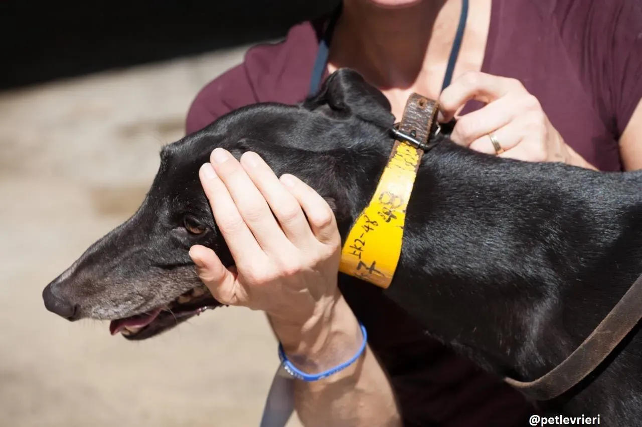 43250689 1922086707875175 5244167622605406208 o