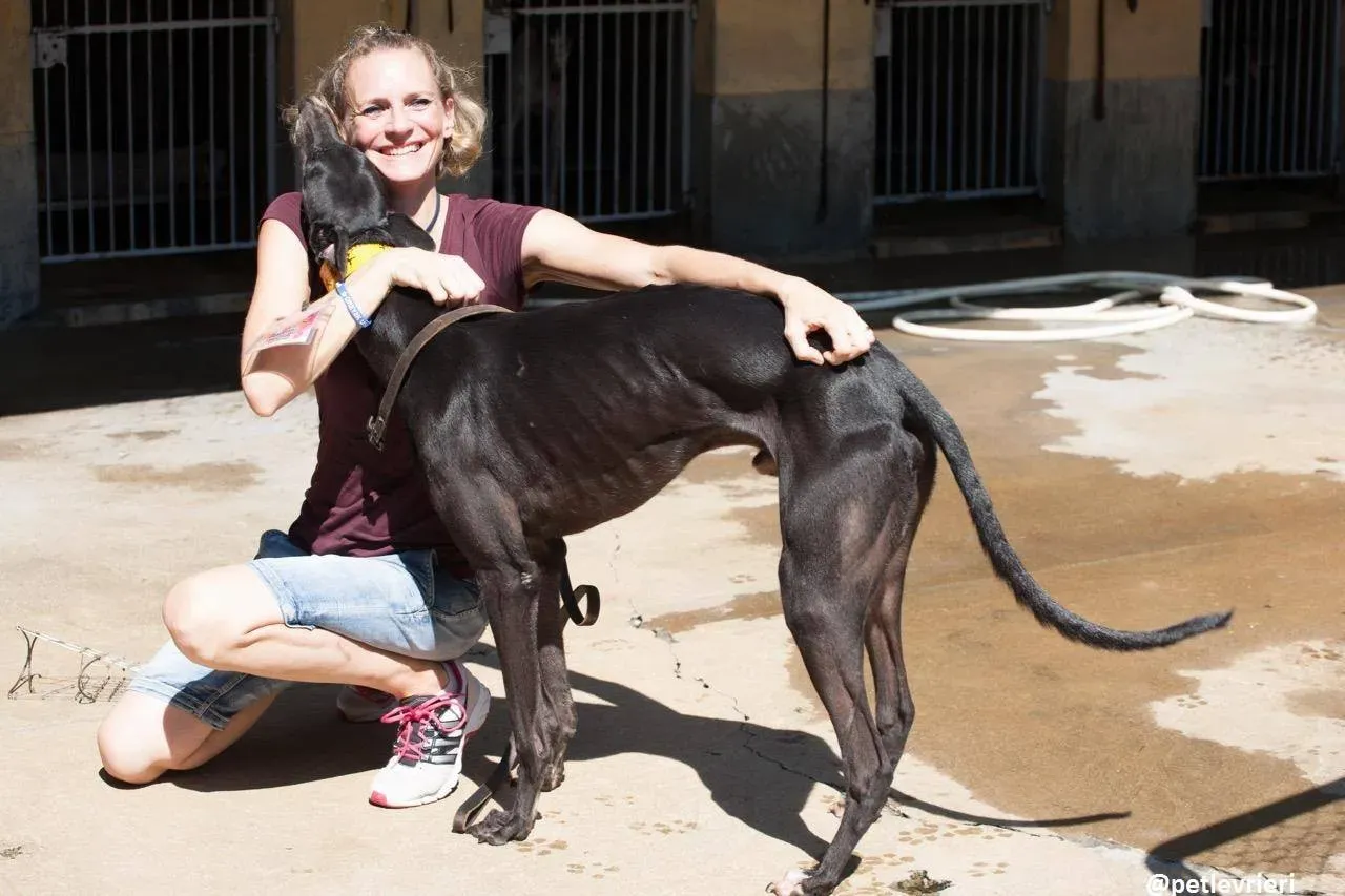 43318077 1922086714541841 8161564934832914432 o