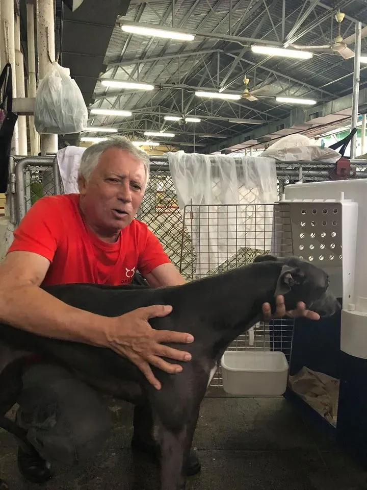 44050922 1754709281330427 7611108564534296576 n