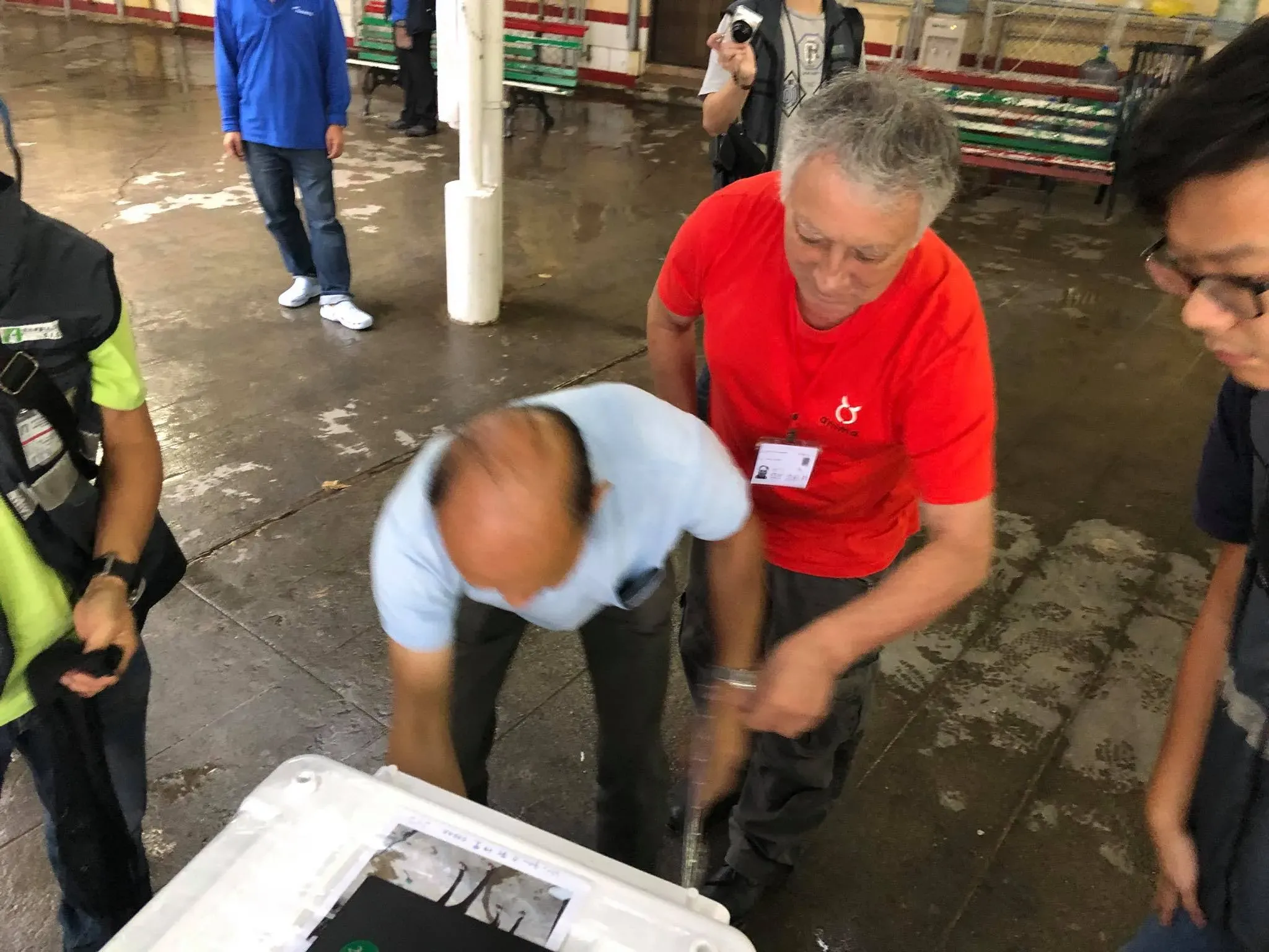 44122136 1750481168419905 1109719519498076160 n 1