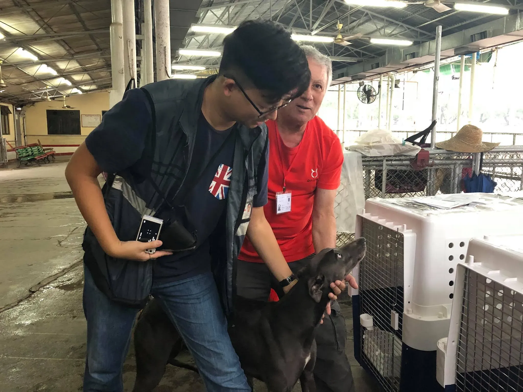 44122224 1754709087997113 5155277815511252992 o