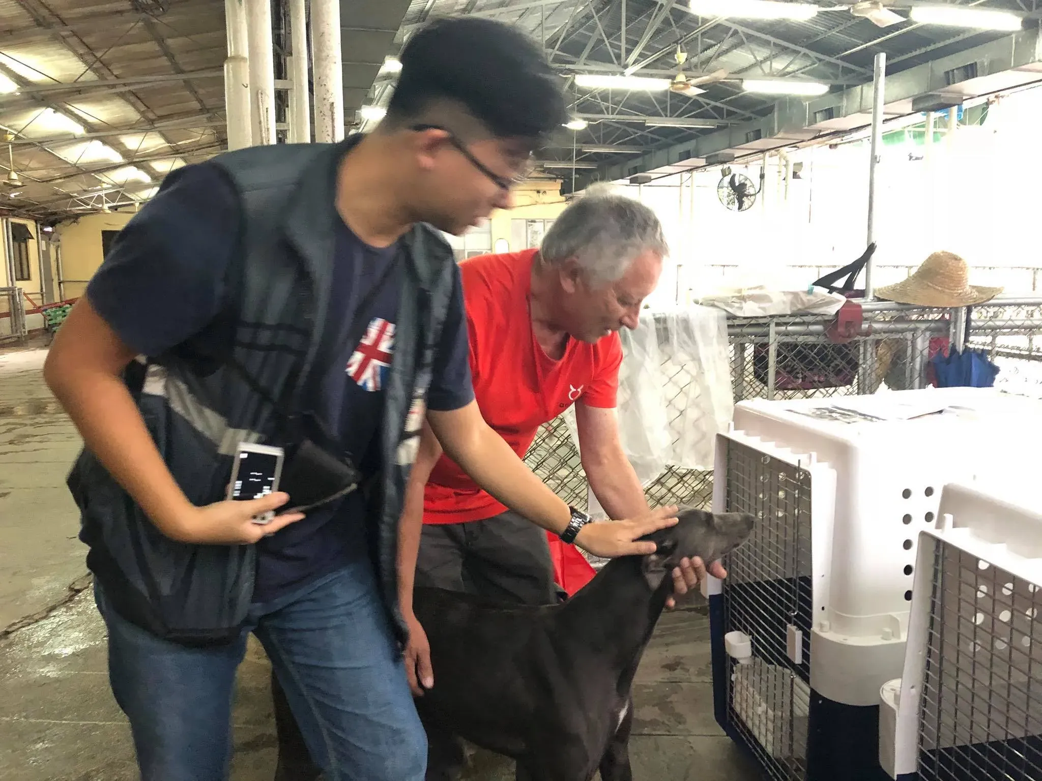 44134971 1754709141330441 7276834850479276032 o