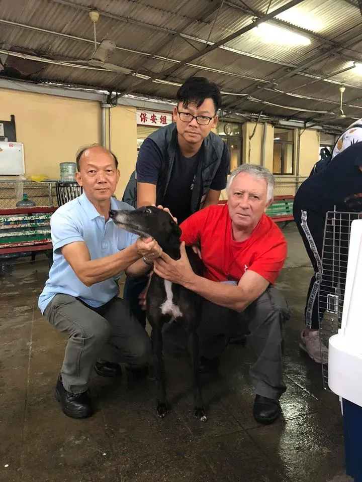 44140250 1754708684663820 4633932729249955840 n