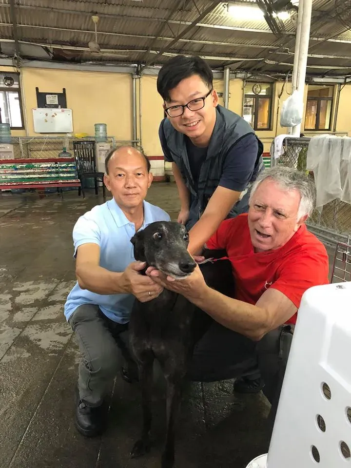 44159775 1754708367997185 4956505260173557760 n