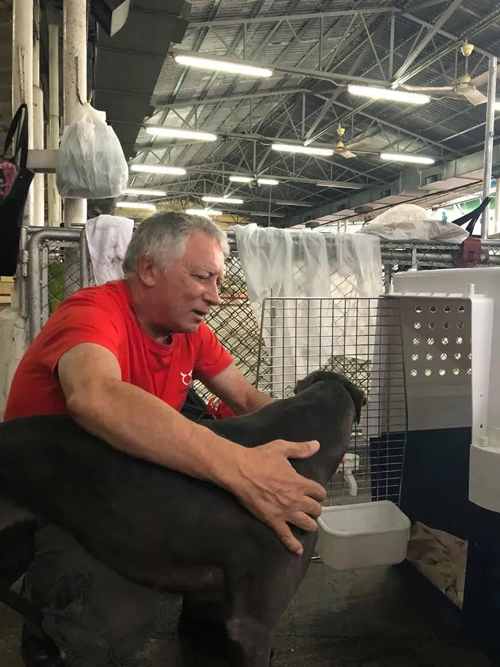 44166150 1754709334663755 31643227387854848 n