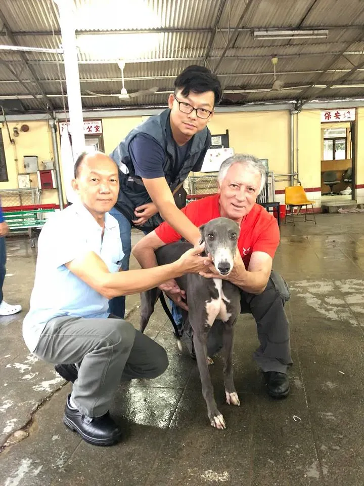 44180475 1754707991330556 74743112534065152 n