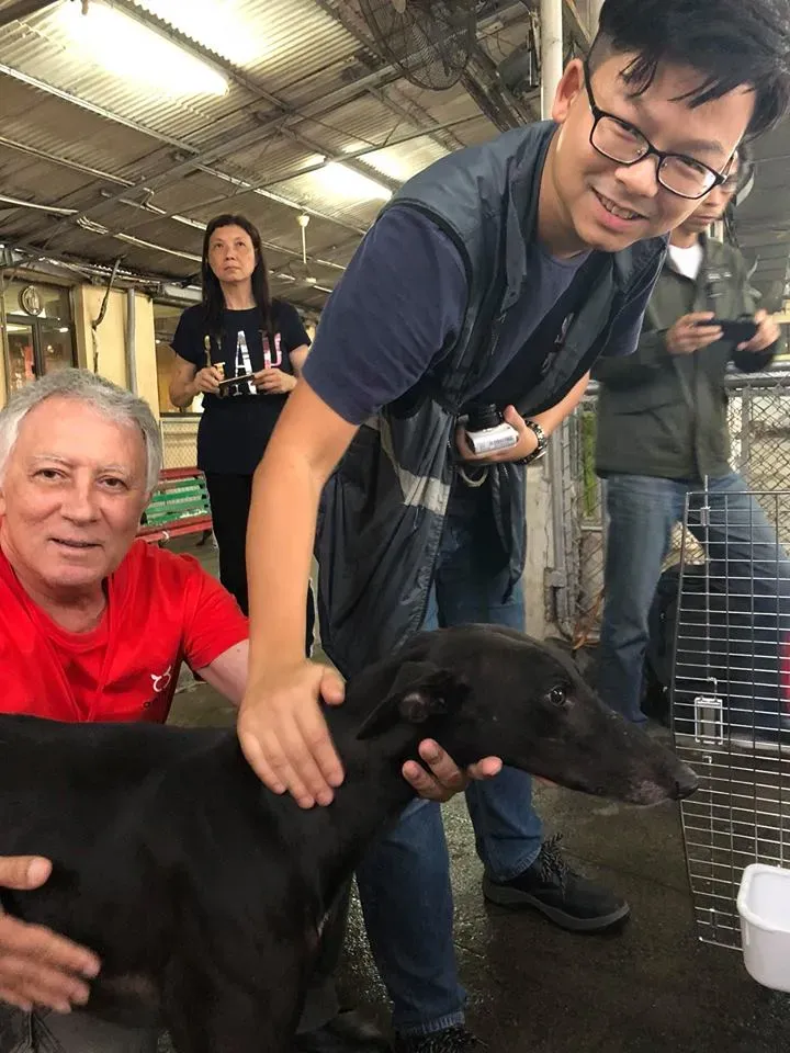 44185994 1754708834663805 1559270353346232320 n