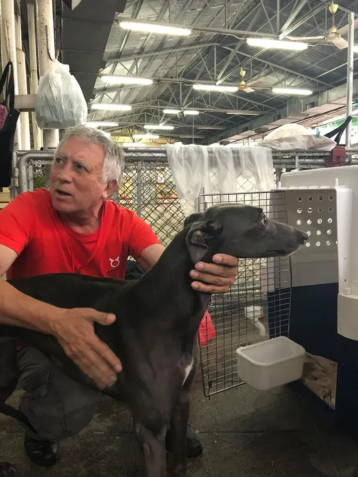 44187205 1754709207997101 4634484383439388672 n