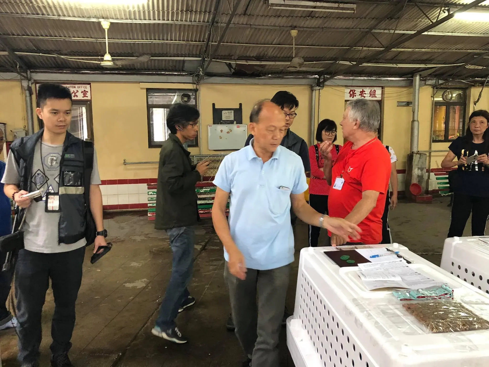 44199790 1754708591330496 8427564491541053440 o