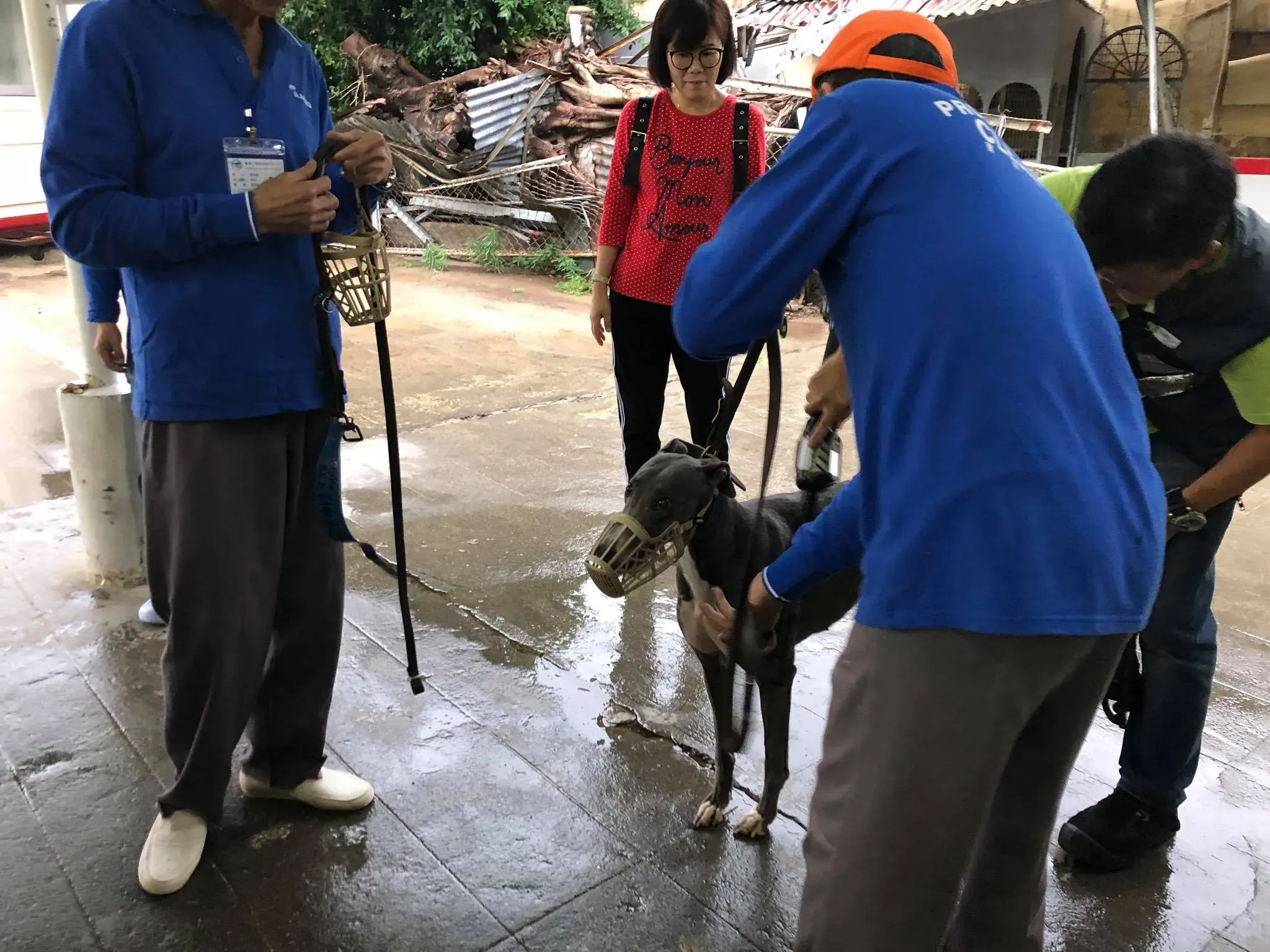 44215416 1754708251330530 2782807644354641920 o