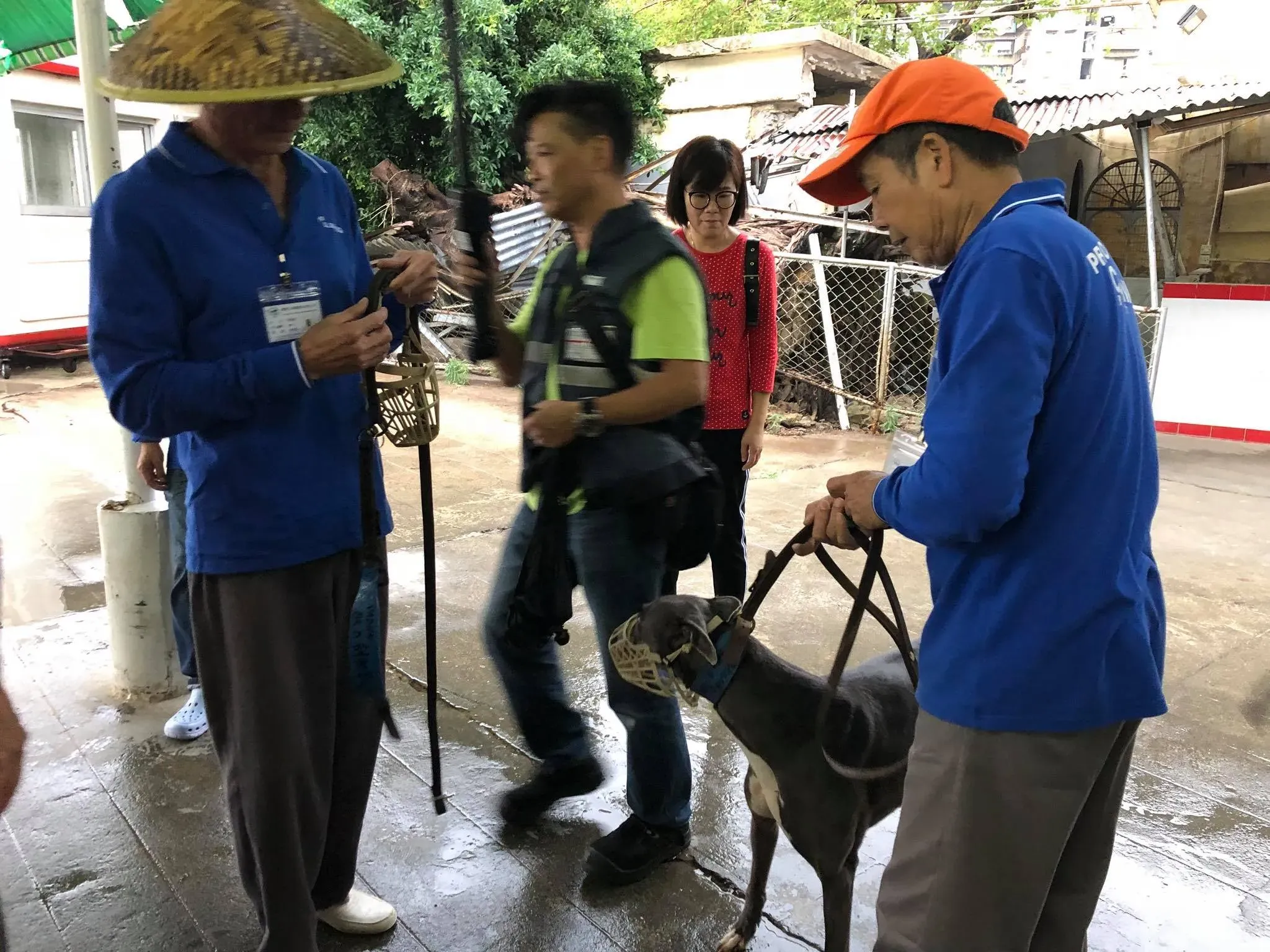 44225010 1754708187997203 185610847102435328 o