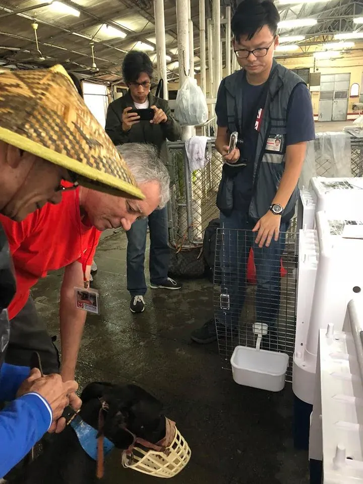 44240900 1754708947997127 1998685343548702720 n