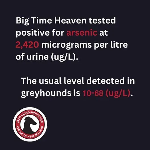 442506425 840438208119980 392645223642490341 n