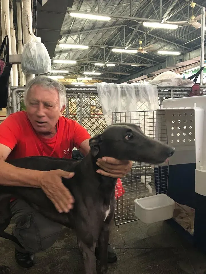 44250804 1754709197997102 2258048647503544320 n