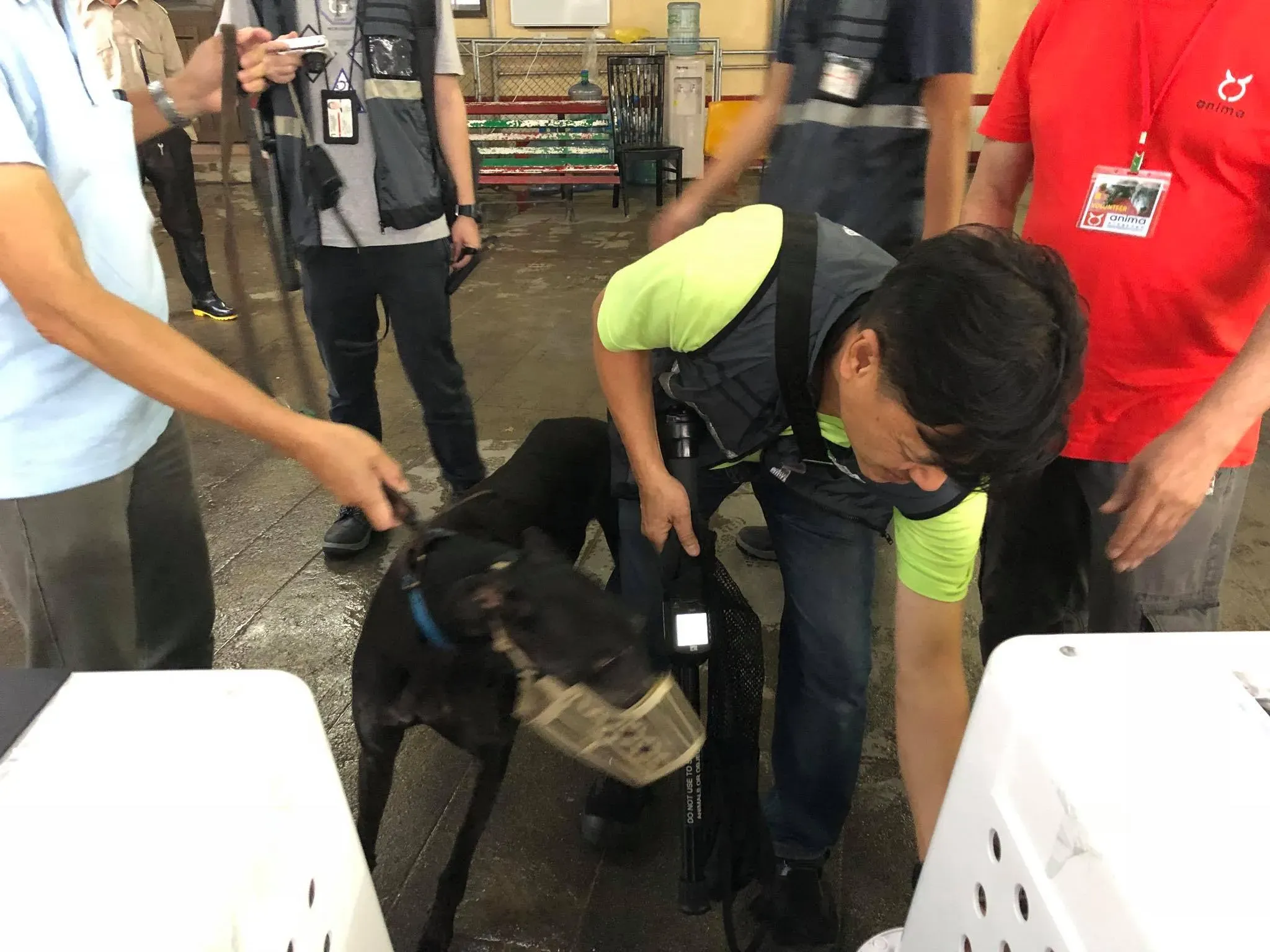 44250875 1754708524663836 6906141557510897664 o