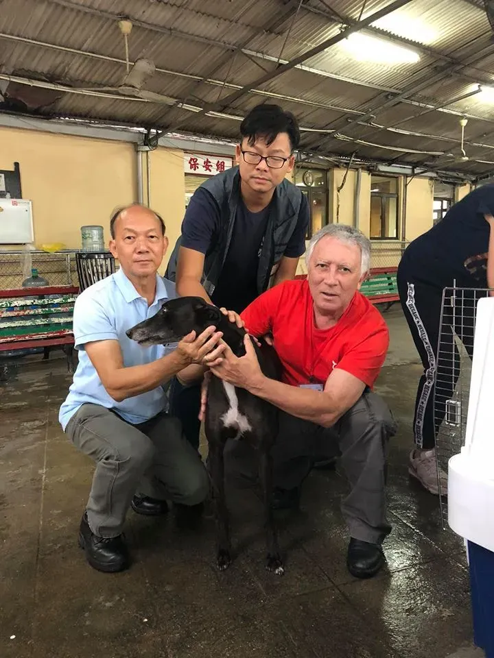 44257041 1754708661330489 7136188230747029504 n