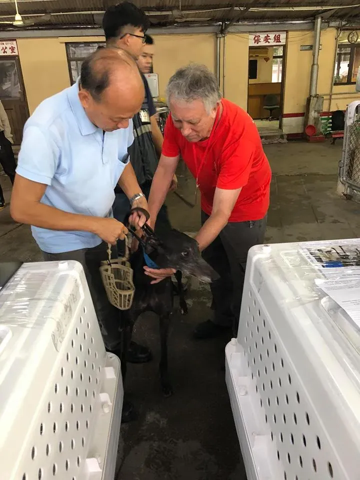 44258661 1754708417997180 1805817676753272832 n