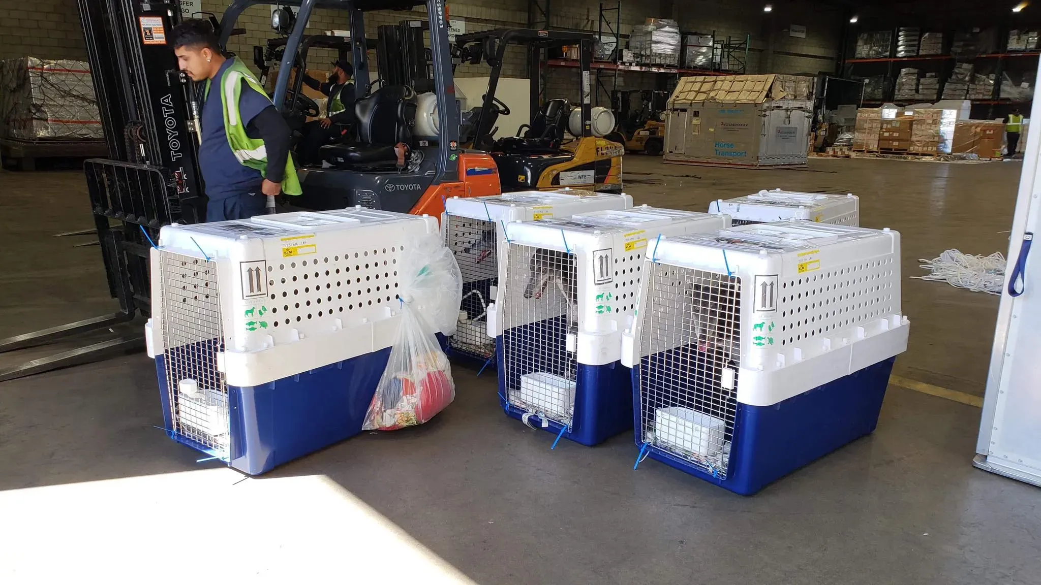 44267182 1756849977783024 187637199787786240 o