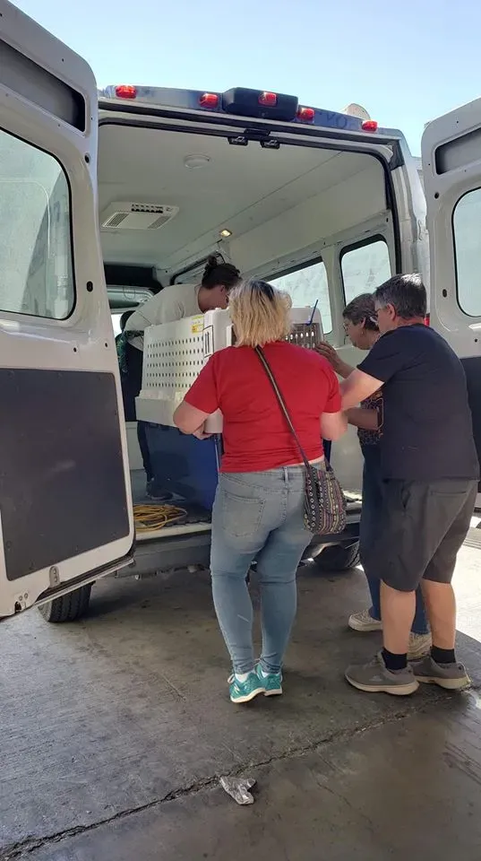 44270206 1756849934449695 6051780791770284032 n