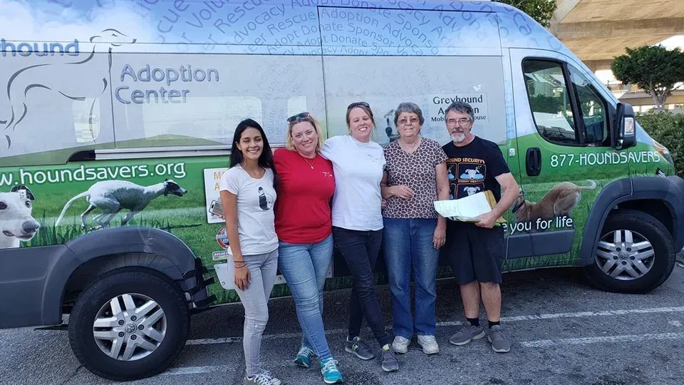 44279875 1756849897783032 6314360004027613184 n