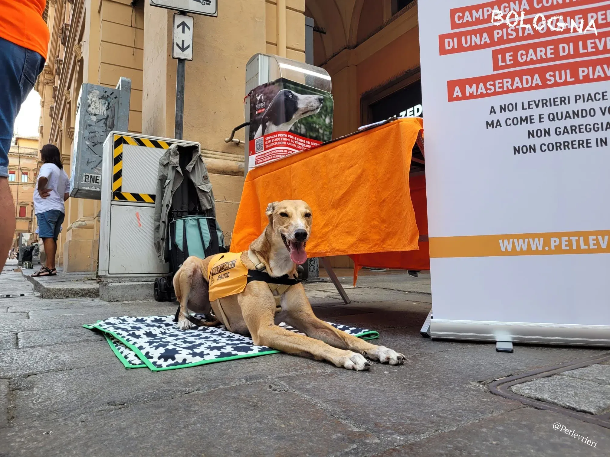 442a9ed5 ba3c 4e2f b9f5 186e088aae29 risultato