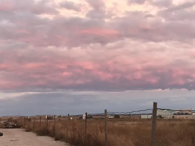 44300398 962796837254435 8170121892666015744 n