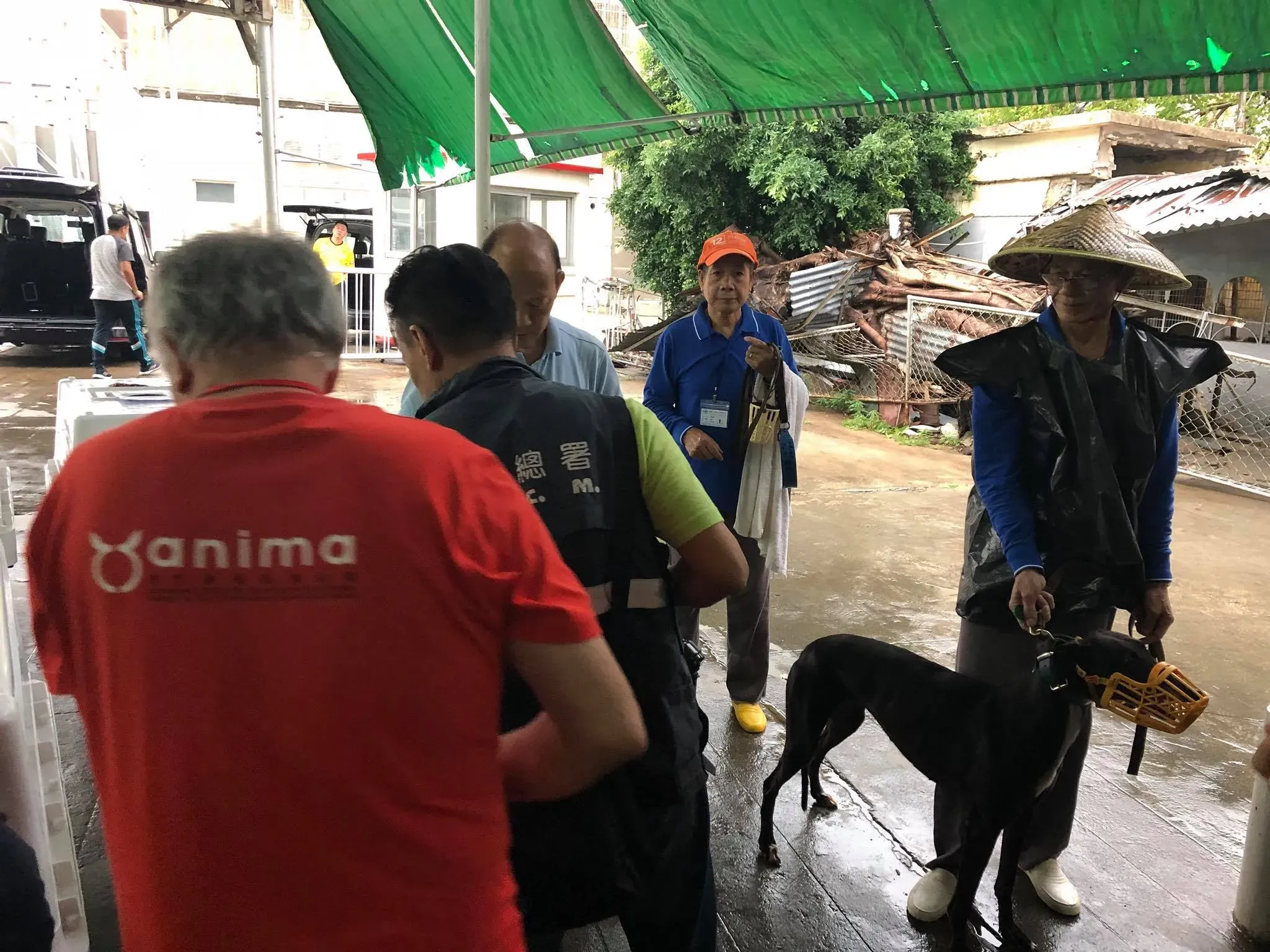 44324962 1754708764663812 4669588701632790528 o