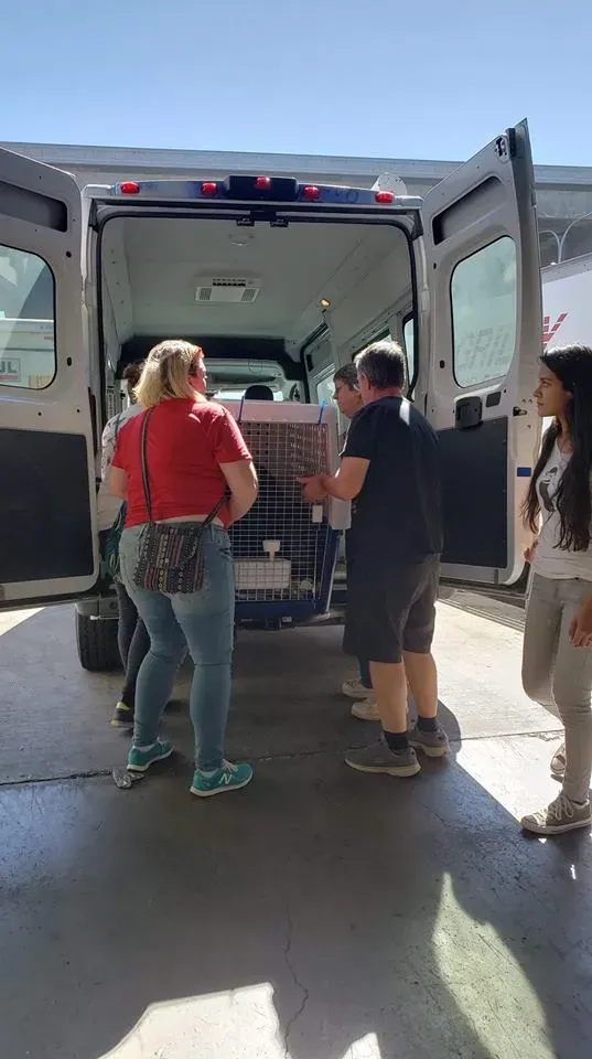 44328549 1756849954449693 8330936076797476864 n