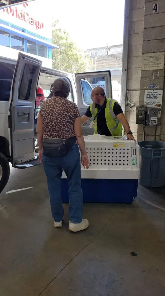 44332041 1756850047783017 8422911134994006016 n