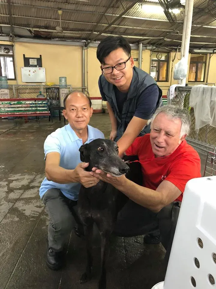 44337485 1754708311330524 4278416734014144512 n