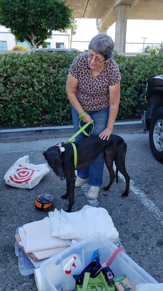 44350337 1756849817783040 6528192166404030464 n