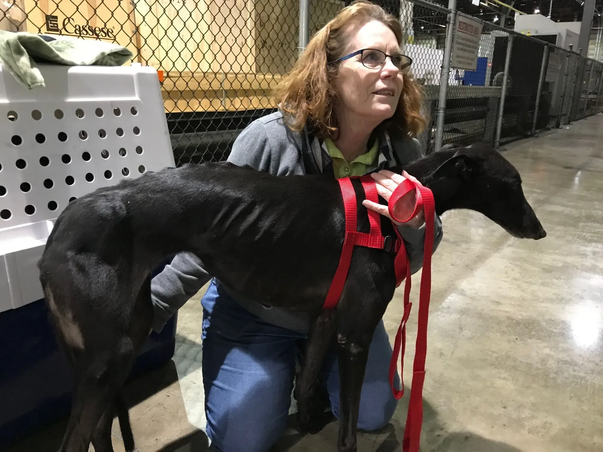 44381686 10156161009339833 1675421675077763072 o