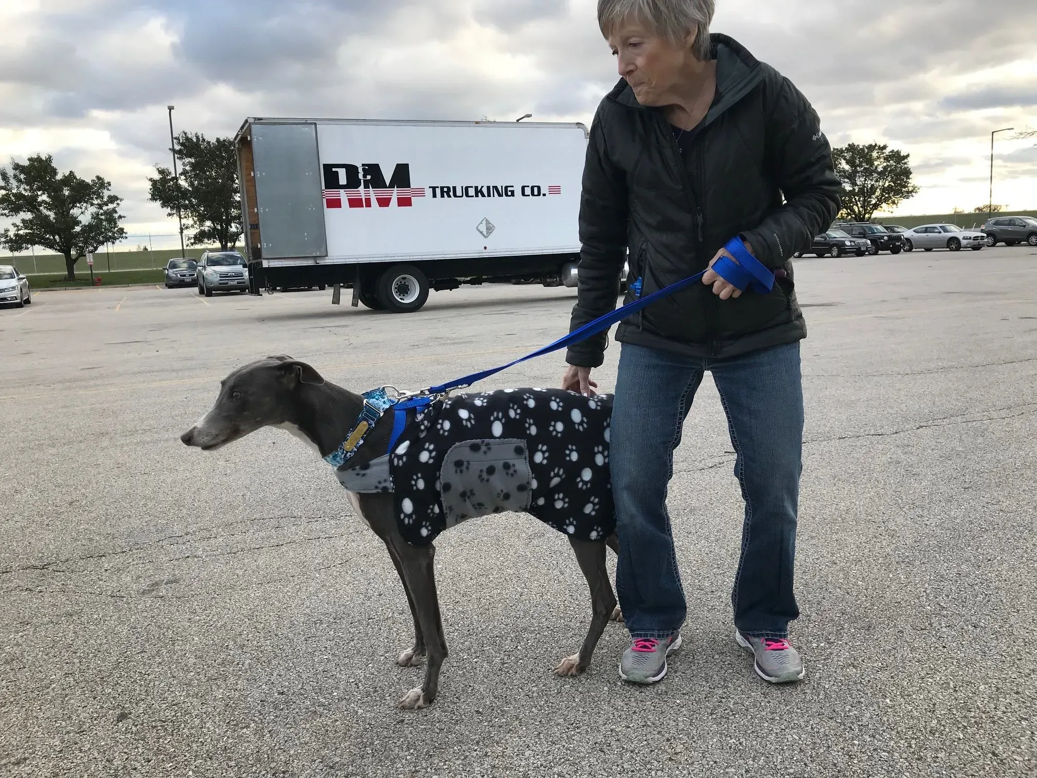 44404805 10156161009364833 9178474621995843584 o