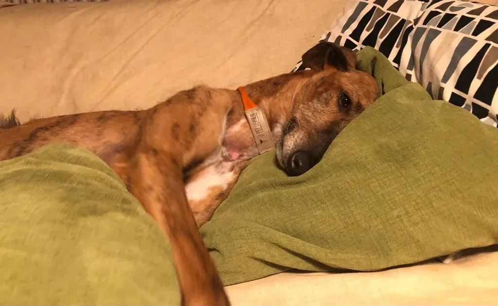 444db8f5 97b1 4933 8dab 0a5094c603f9