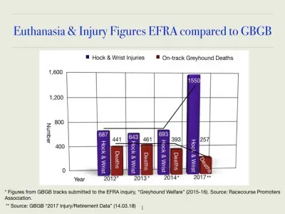 44569122 10156100843050910 7086238087512064000 n