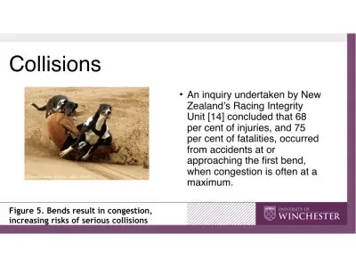 44704549 10156100843240910 148003877235458048 n