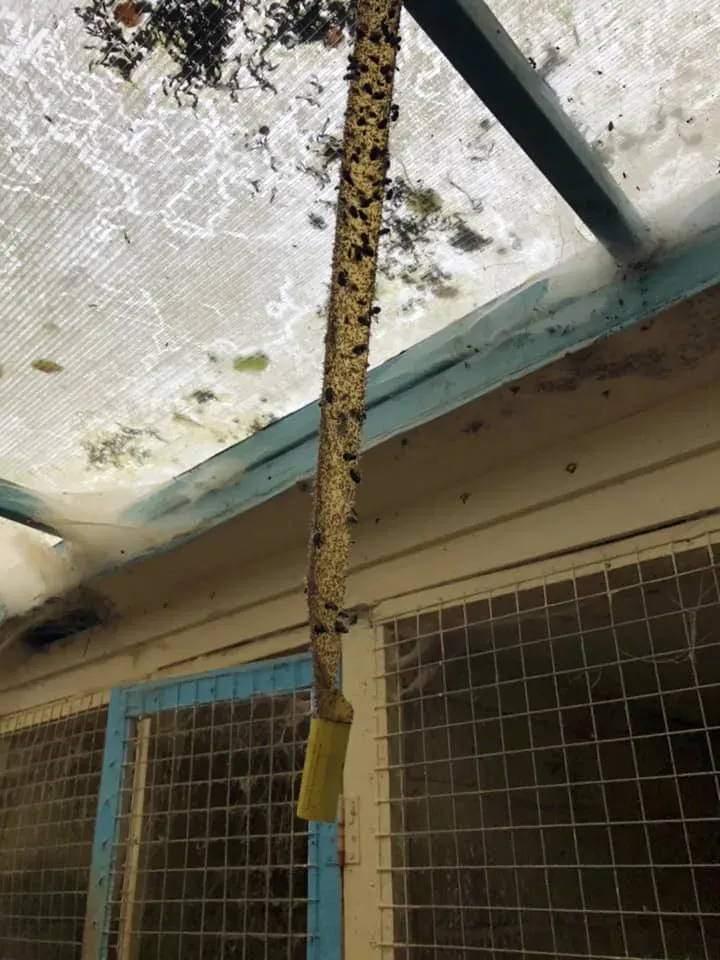 44965549 10156085314963869 3589805142842540032 n