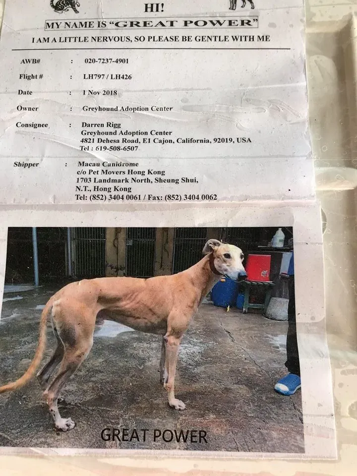 45027835 1770439166424105 2010862473481027584 n