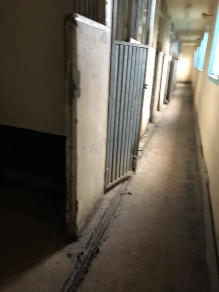 45042911 10156085315133869 7742747113133441024 n