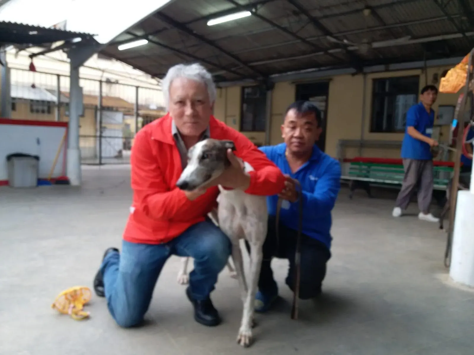 45044487 1770438796424142 4762299612281176064 o