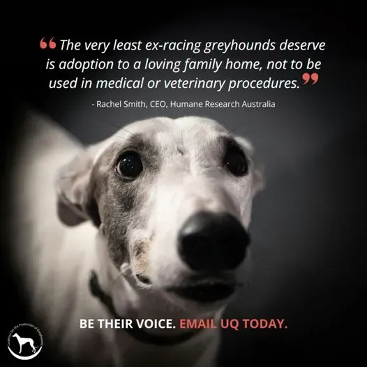 450479255 530159946011791 6641813078078840123 n 1