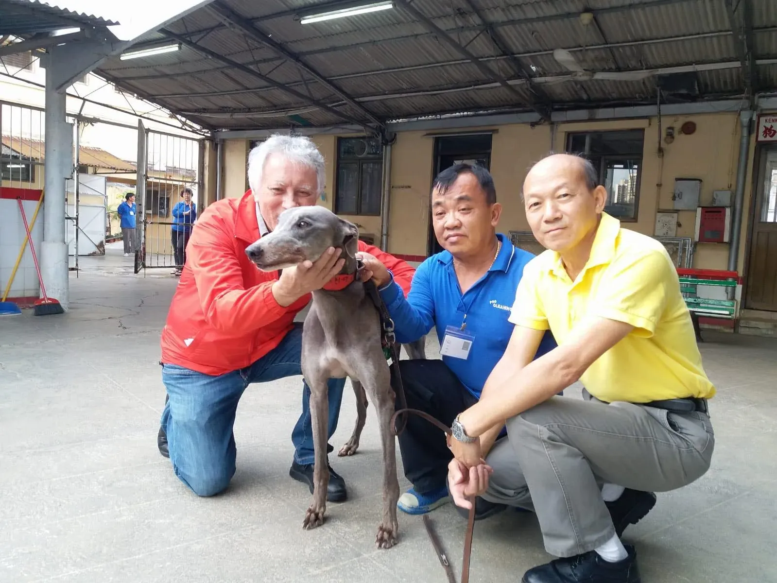 45065303 1770438713090817 6155667993301876736 o