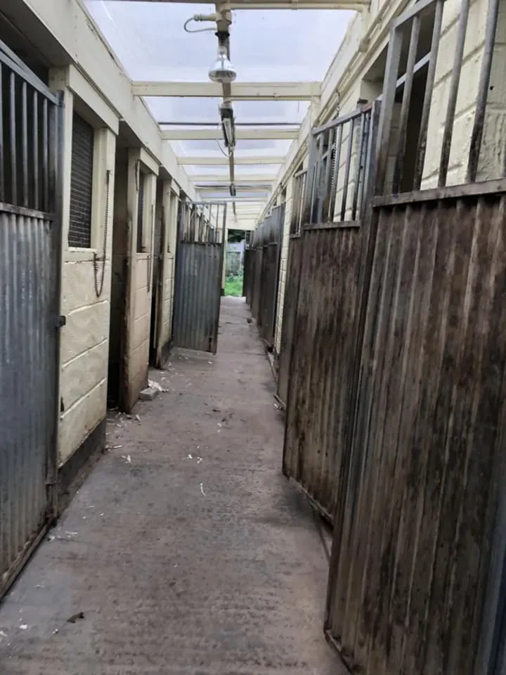 45068309 10156085315358869 3935855798957113344 n