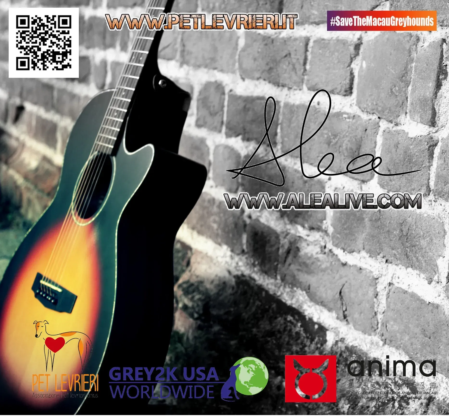 45068310 2098624003523693 4851133906923028480 o