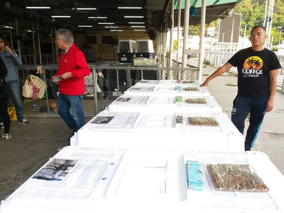 45073564 1770438659757489 1485714794974543872 n