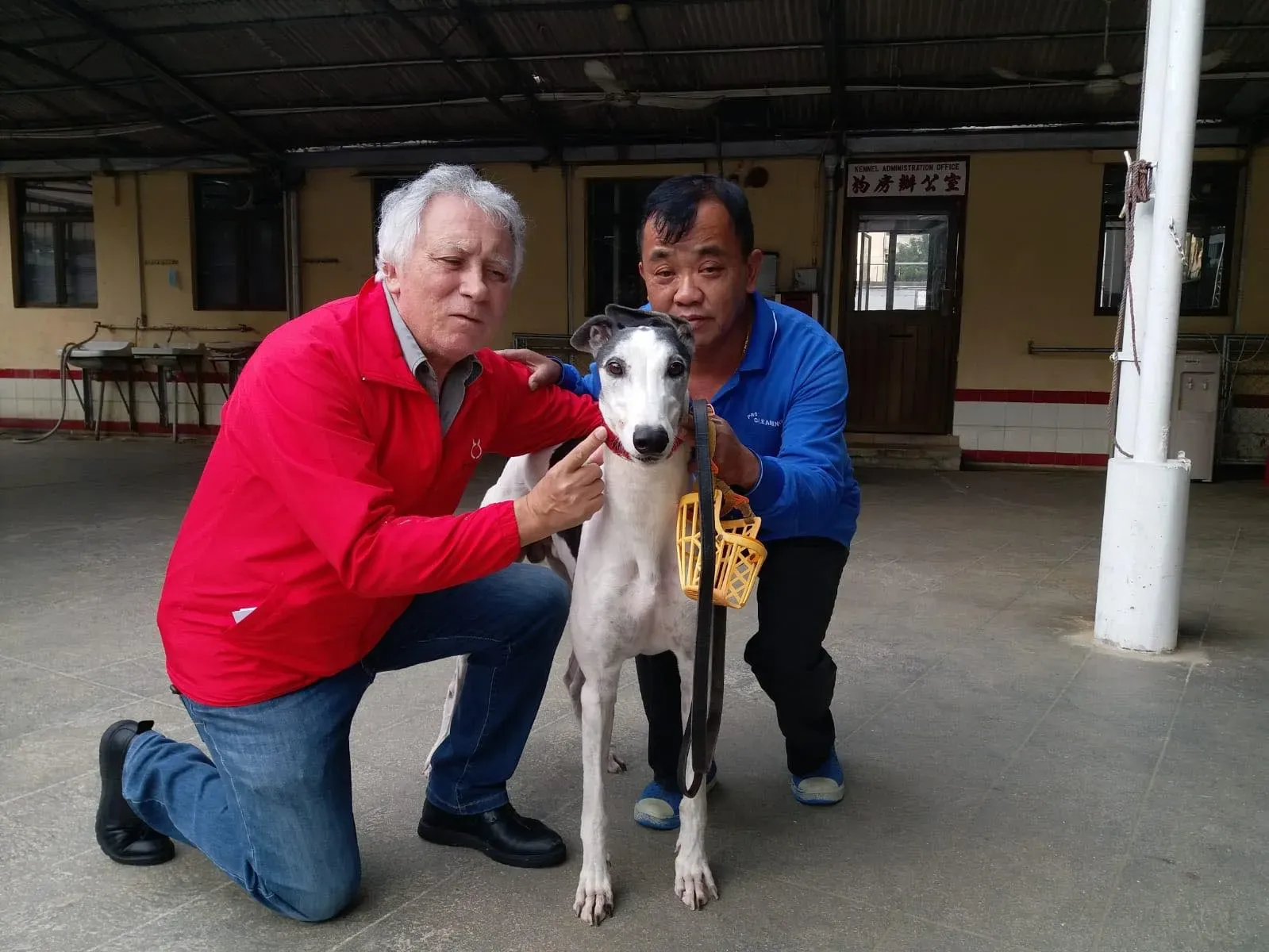 45073593 1770438669757488 2488755147975426048 o