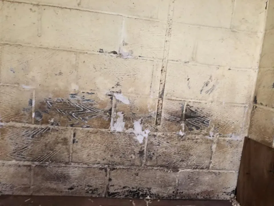 45081573 10156085315693869 6161750281173336064 n